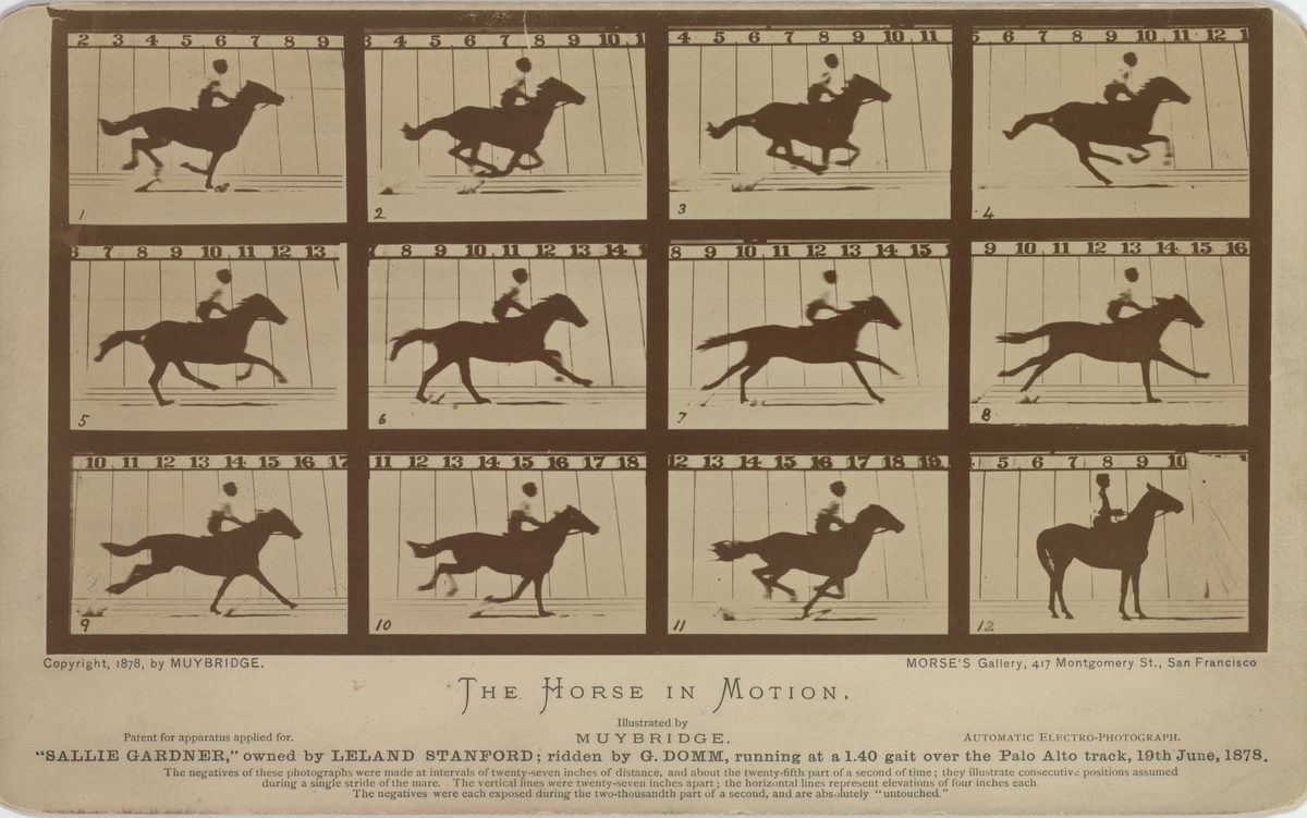 Muybridge's The Horse in Motion: twelve sequential sepia photographs of a galloping horse and rider against a lined wall, with printed caption