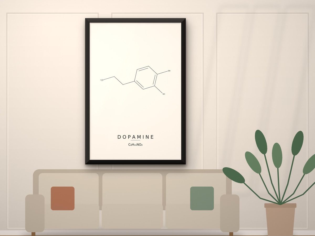 Dopamine Molecule Print, Happy Hormone Chemistry Wall Art, Neuroscience Gift, Office Decor, Framed Canvas