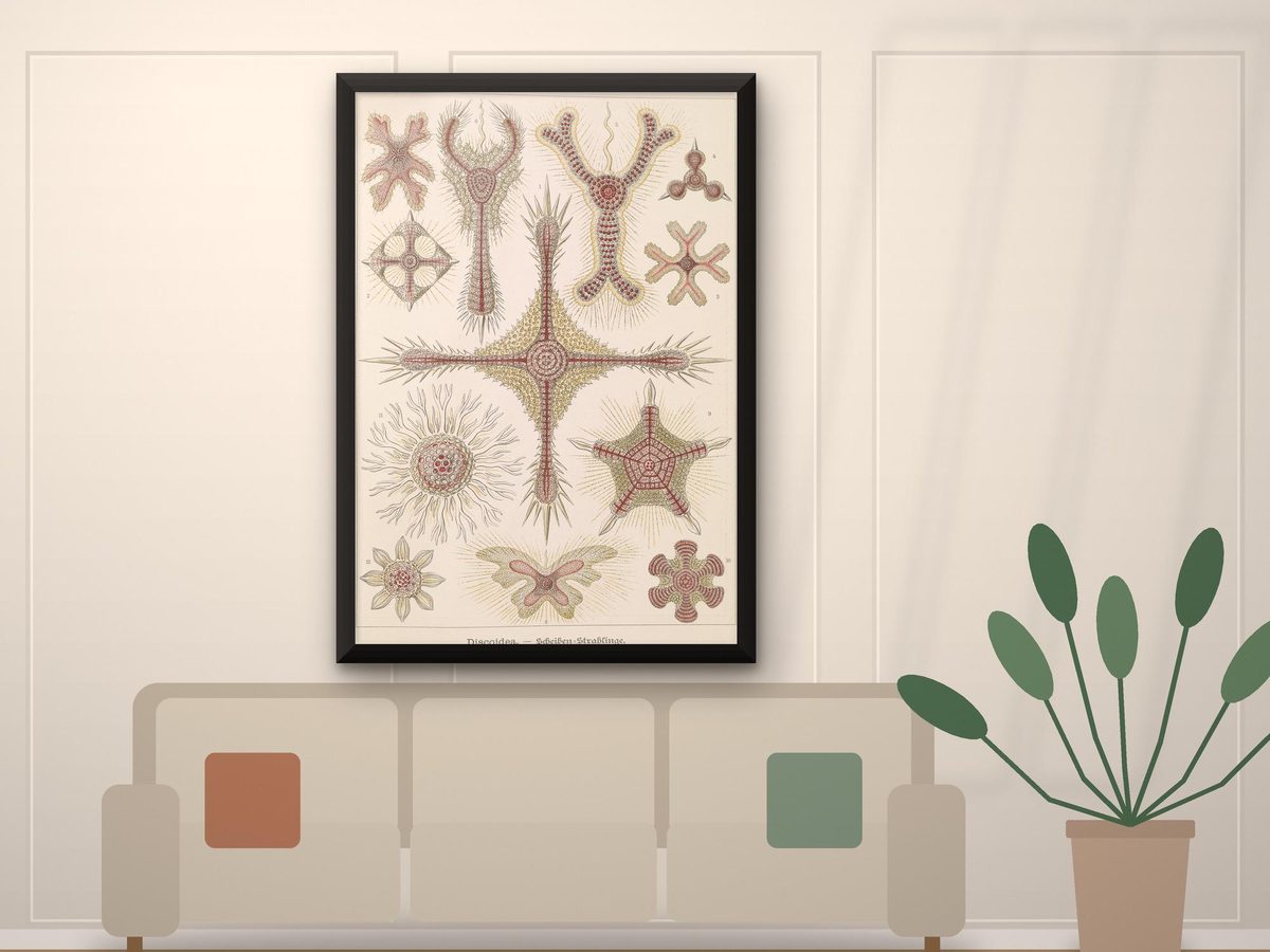 Ernst Haeckel Radiolaria 1904 Print, Kunstformen der Natur Plate, Geometric Microorganisms, Vintage Science Art (Framed Canvas)