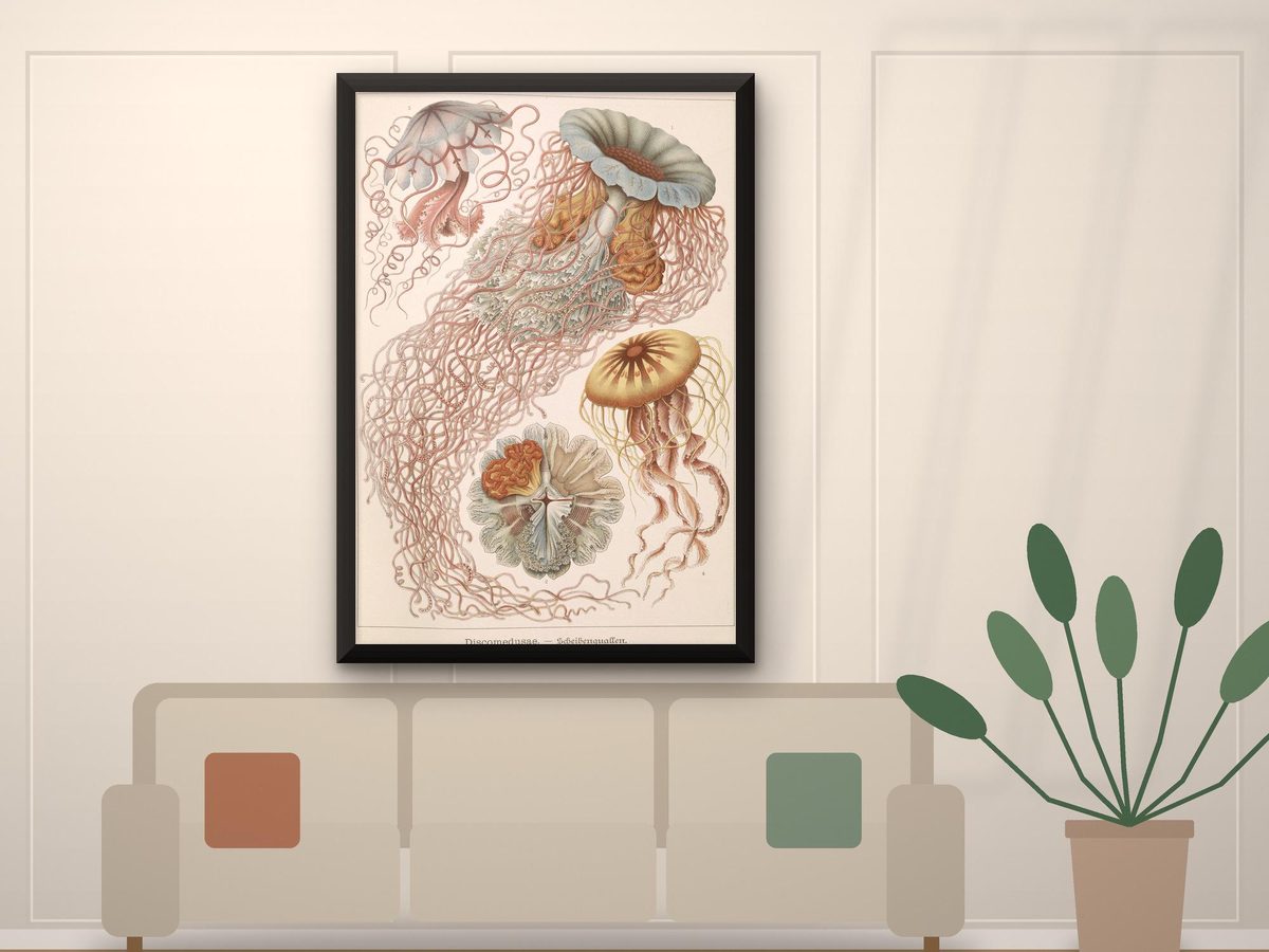 Ernst Haeckel Jellyfish 1904 Print, Discomedusae Plate Kunstformen der Natur, Coastal Wall Art (Framed or Unframed)