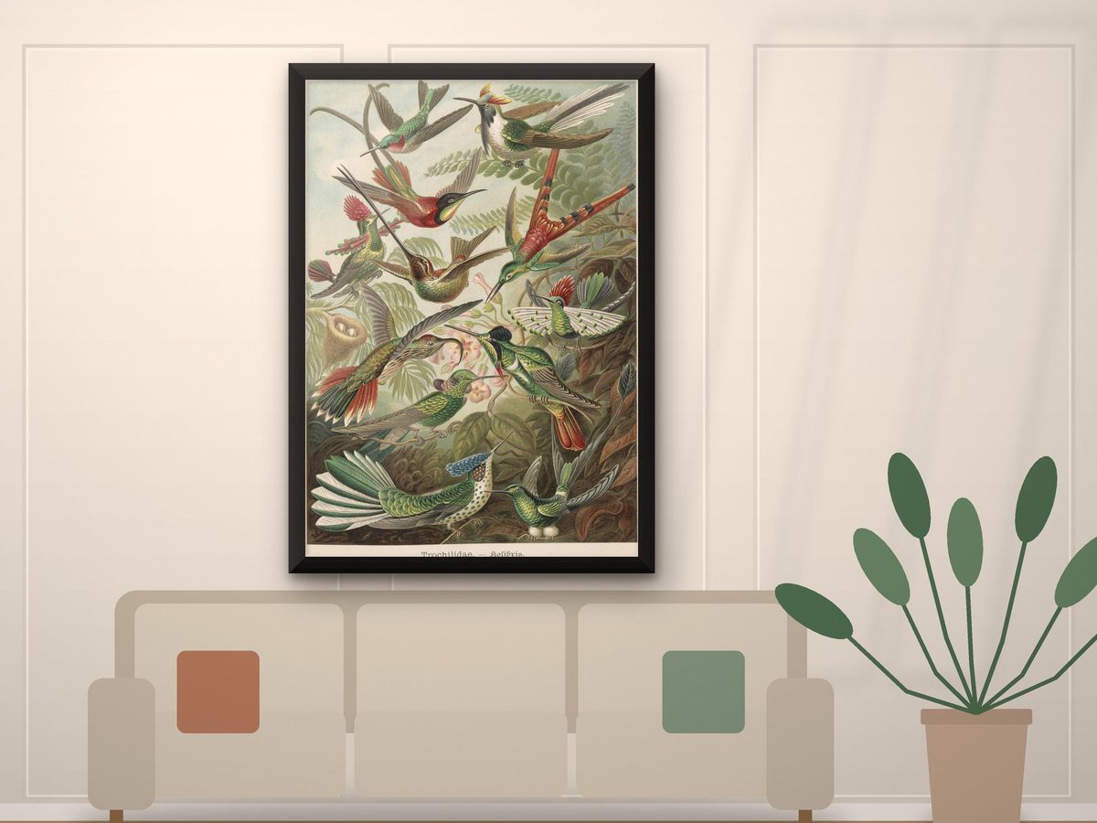 Ernst Haeckel Hummingbird 1904 Print, Trochilidae Plate Kunstformen der Natur, Nature Wall Art (Framed Canvas)