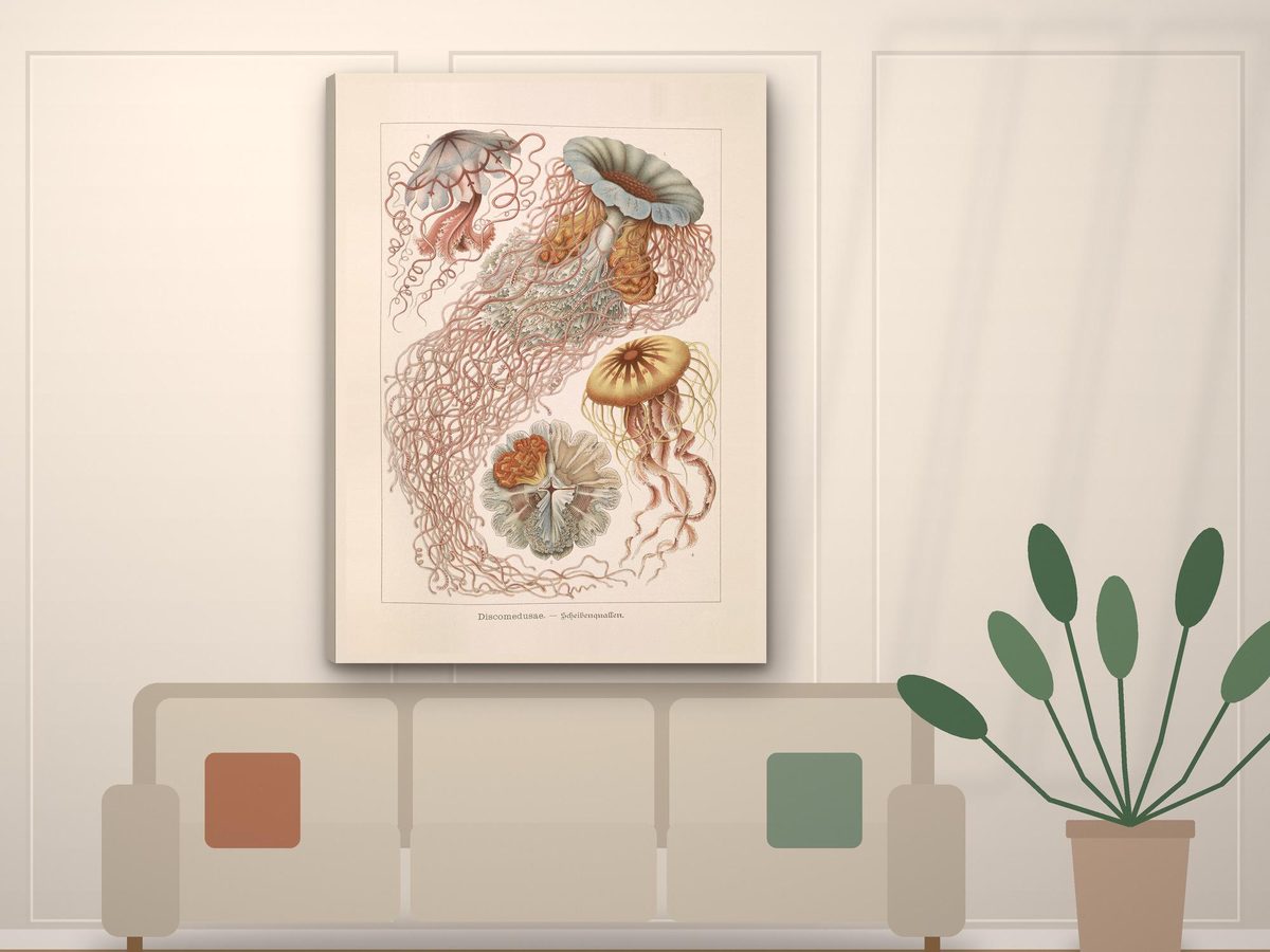 Ernst Haeckel Jellyfish 1904 Print, Discomedusae Plate Kunstformen der Natur, Coastal Wall Art (Gallery Wrapped Canvas)