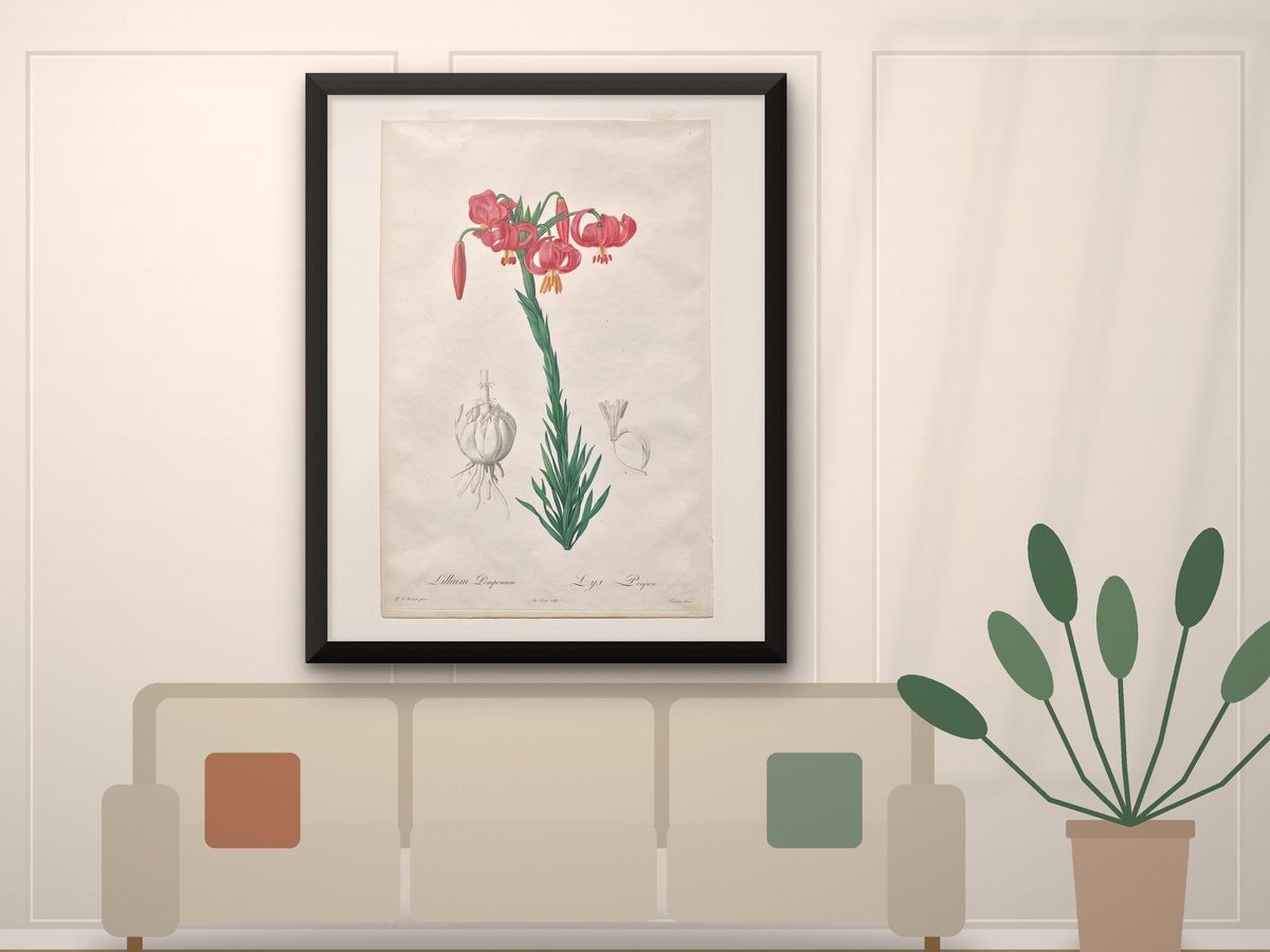 Pierre-Joseph Redoute Turban Lily 1802 Print, Les Liliacees Antique Botanical Illustration, Cottagecore Wall Art (Framed)