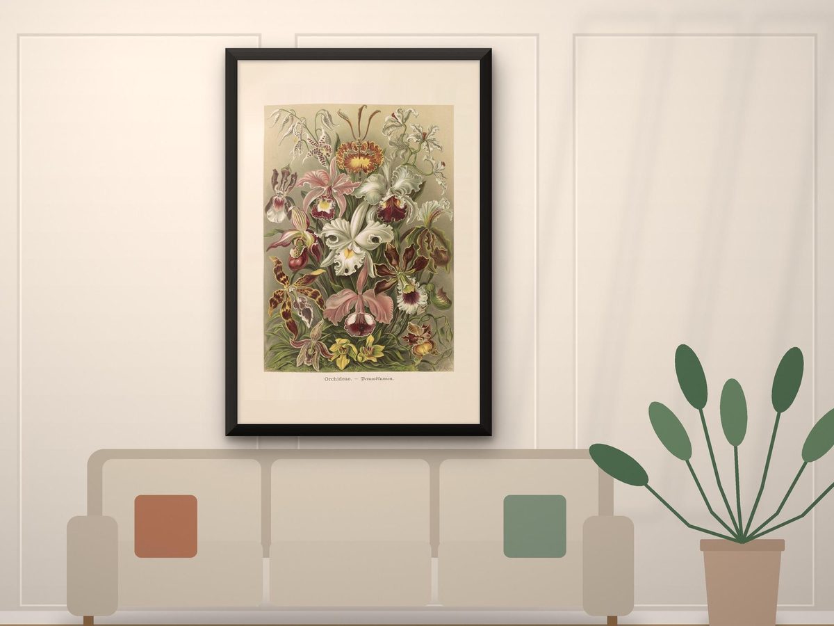 Ernst Haeckel Orchids 1904 Print, Orchideae Plate 74 Kunstformen der Natur, Art Nouveau Wall Art (Framed Canvas)