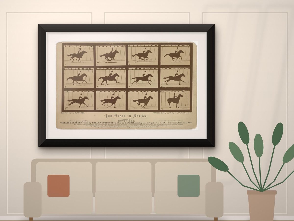 Eadweard Muybridge The Horse in Motion Print, Antique Photography Study, Science Wall Art (Public Domain)