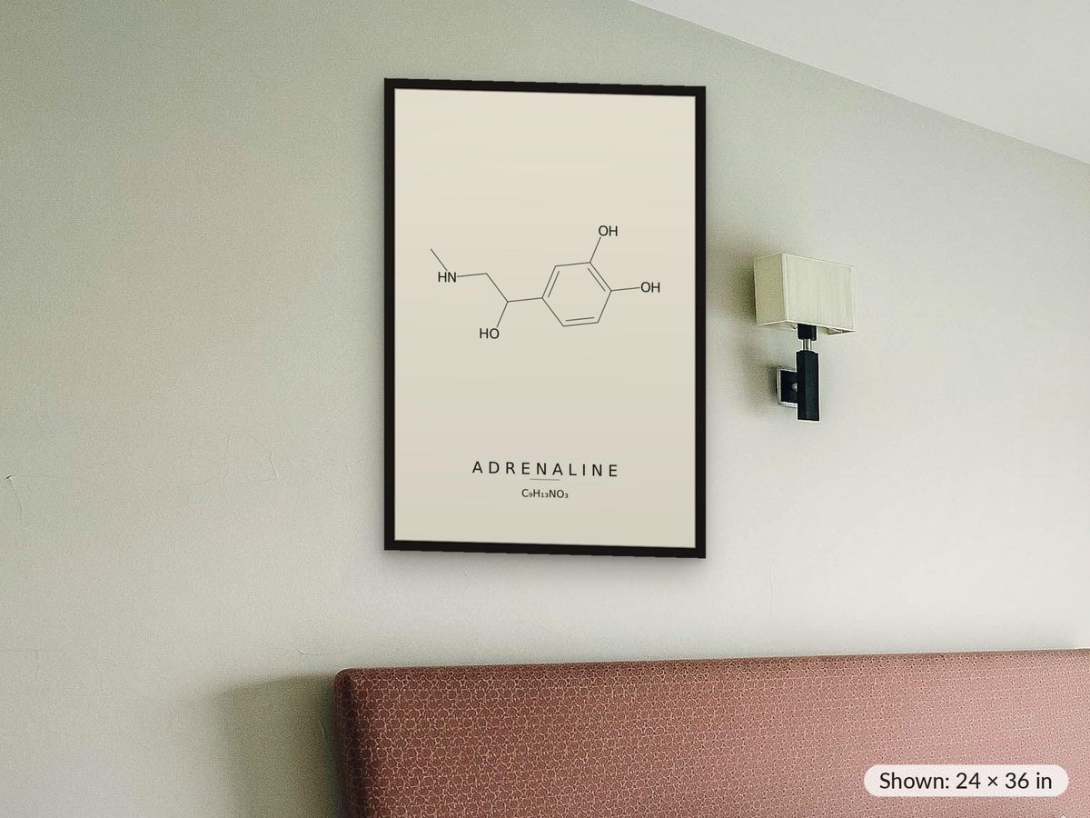 Adrenaline Molecule Print, Epinephrine Chemistry Wall Art, Minimalist Science Poster, Gym Decor, ER Nurse Gift