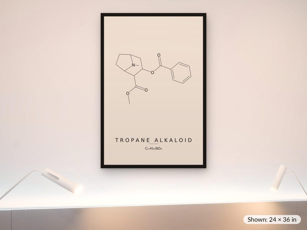 Tropane Alkaloid Molecule Print, Chemistry Wall Art, Minimalist Science Poster, Pharmacology Gift, Lab Decor
