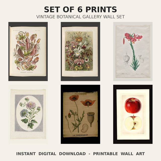 Vintage Botanical Print Set — set preview