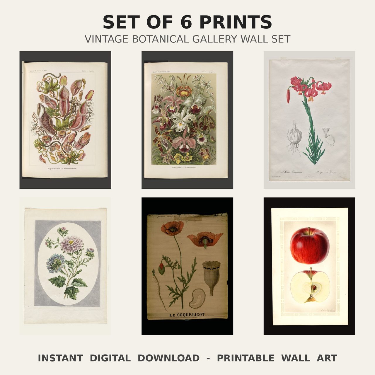 Vintage Botanical Print Set — all 6 prints in the set